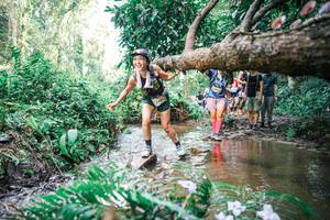 BIB: 
                            <button type="button" onclick="openModal(25514038)" class="btn btn-primary btn-sm float-right btn-popup" data-toggle="modal" data-target=".modal-high-quality">
                        <i class="fas fa-shopping-cart"></i> Add to Cart
                    </button>
                                            <button type="button" onclick="isThisMe(25514038, true)" class="btn btn-success btn-sm float-right btn-popup btn-isme hidden" data-toggle="tooltip" data-placement="bottom" title="นี่คือรูปของคุณใช่ไหม คลิกที่นี่เพื่อเอาเข้าอัลบั้ม">
                        <i class="fas fa-plus"></i> Add to album
                    </button>
                    <button type="button" onclick="isThisMe(25514038, false)" class="btn btn-warning btn-sm float-right btn-popup btn-isnotme hidden">
                        <i class="fas fa-ban"></i> Remove from album
                    </button>